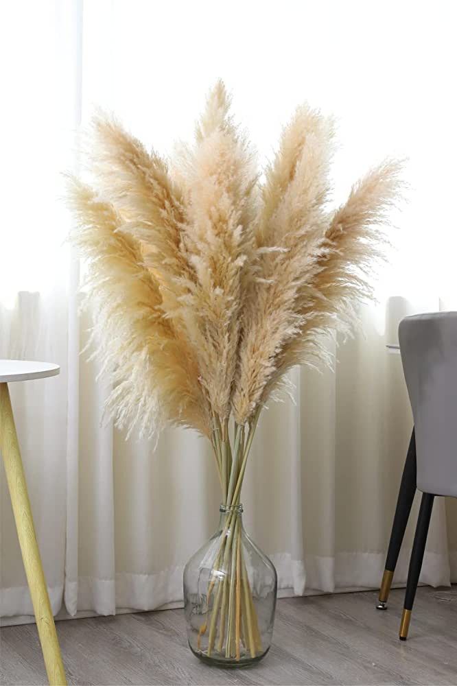 10 Stems of 46" inch Natural Pampas Grass Decor Tall,Dried Pompas Grass Flower Bundles,Large and ... | Amazon (US)