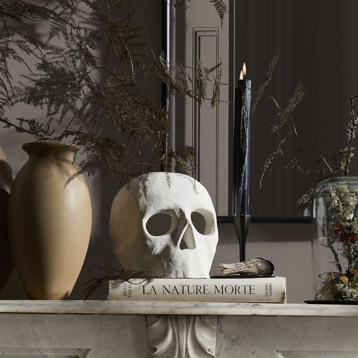 Shape Studies Ceramic Skulls | West Elm (US)