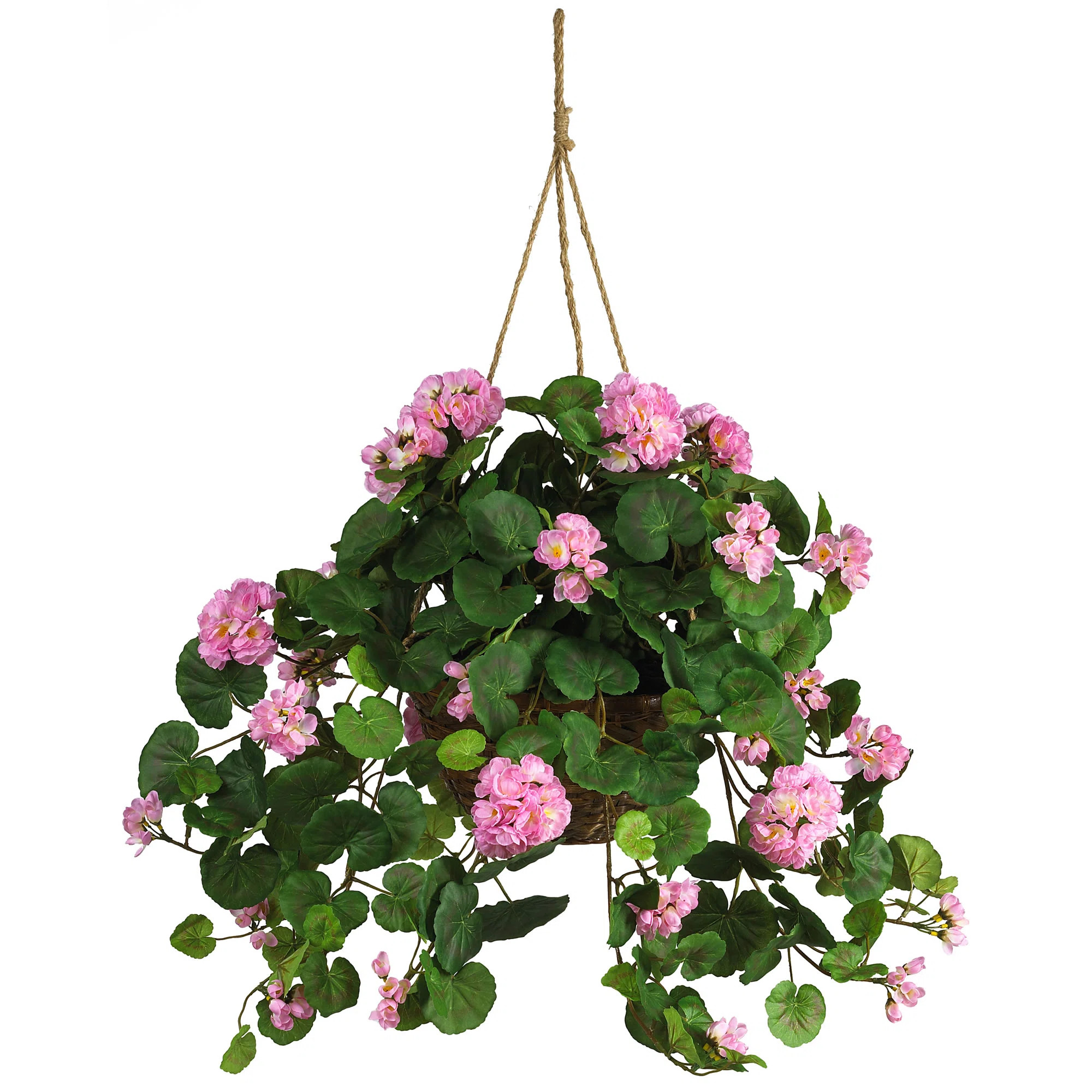 Primrue Geranium Hanging Basket Arrangement in Basket & Reviews | Wayfair | Wayfair North America