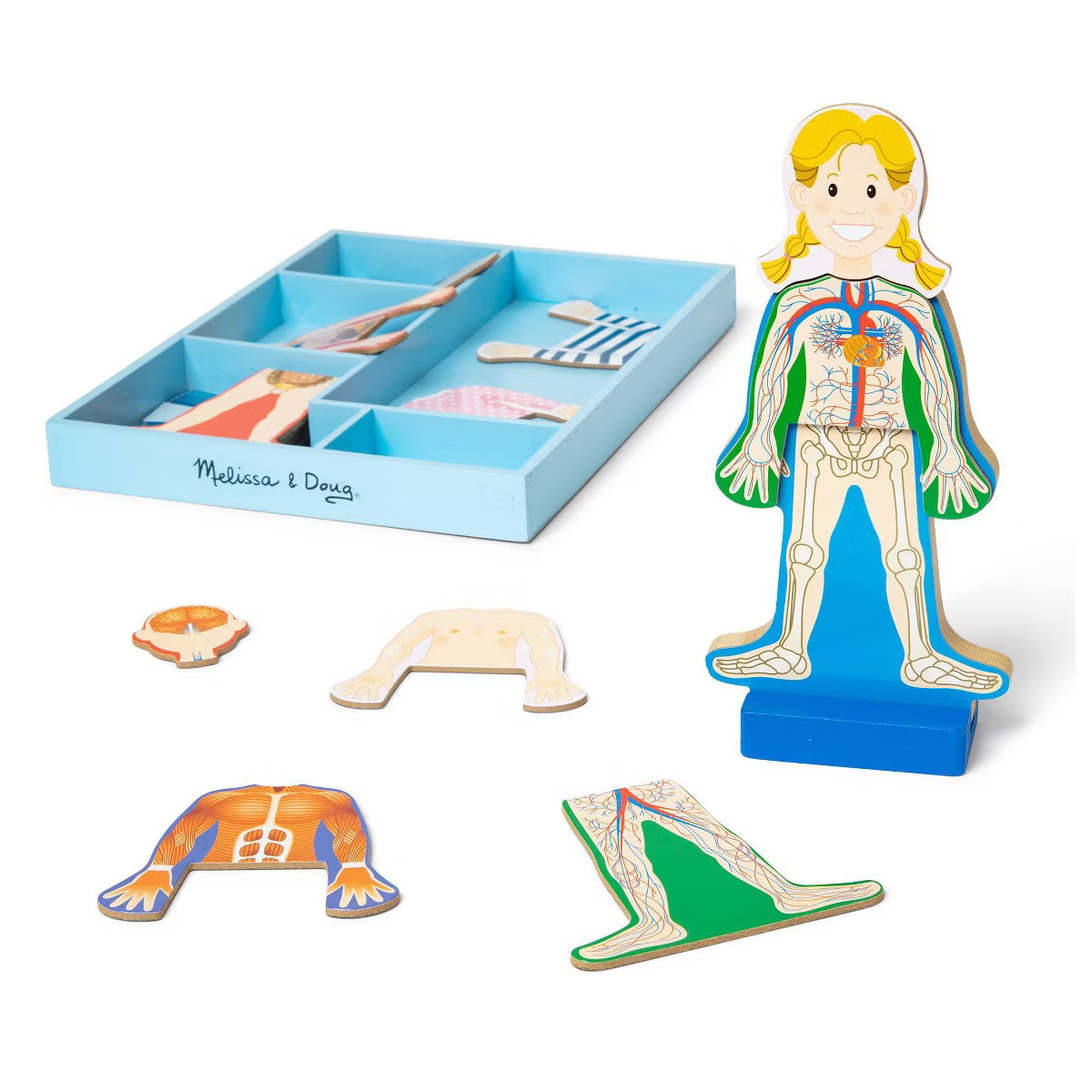 Melissa & Doug Magnetic Human Body Anatomy Play Set and Storage Tray - 24pc | Target