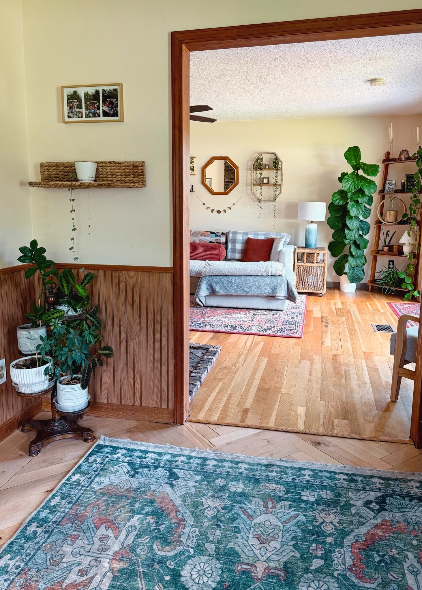 home ♥️🥰 my favorite place to be! 

Linked what I could of my living room decor and similar!

#LTKHome #LTKdayinmylife #LTKSeasonal