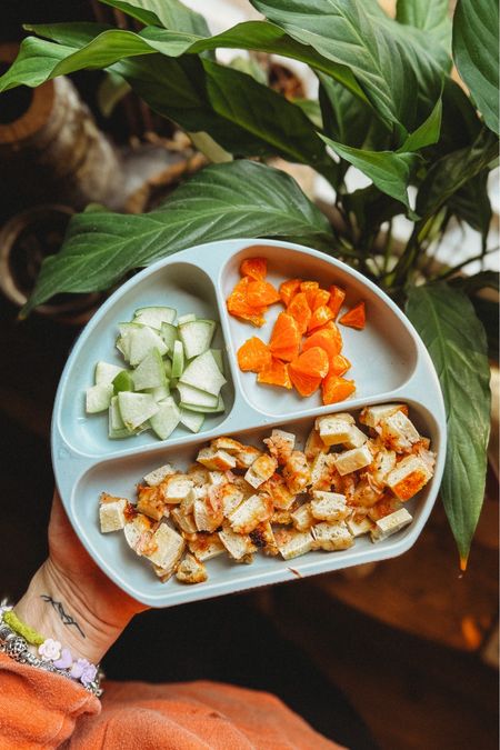 The best silicone baby plates with suction. These are perfect for introducing baby to new foods and won’t slide off the high chair or table. Easy to clean and dishwasher safe too! Introduce your child to baby led weaning using these baby suction plates  

#LTKfindsunder50 #LTKbaby #LTKkids