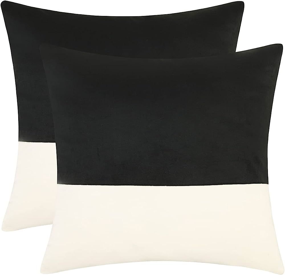cygnus 20X20 Inch Black and White Velvet Throw Pillow Covers Case with Zipper Super Soft Pillowca... | Amazon (US)
