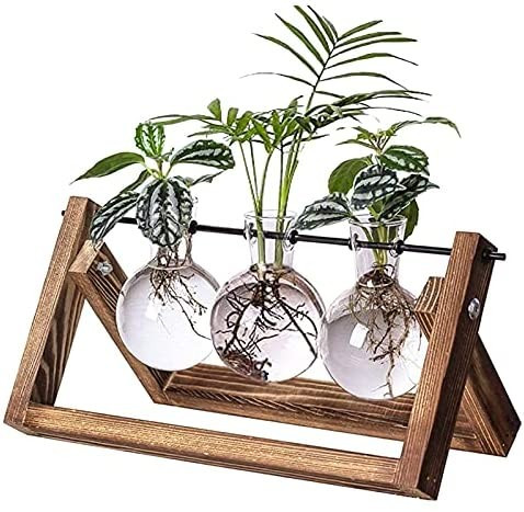 Boho Home Decor | Amazon (US)