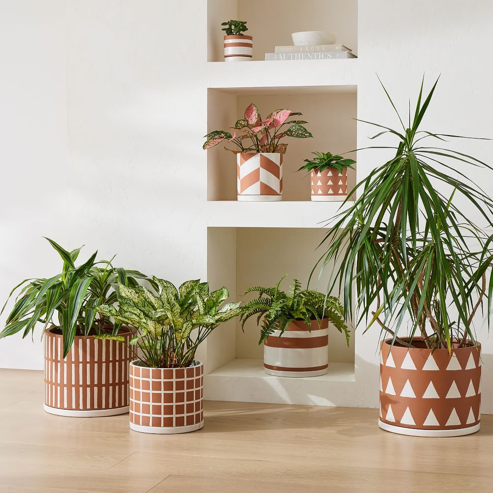 Diego Olivero Rio Terracotta Indoor/Outdoor Cache Pots | West Elm (US)