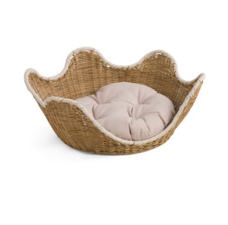 Cutest Scalloped Pet Bed

#LTKhome #LTKfindsunder50 #LTKfamily