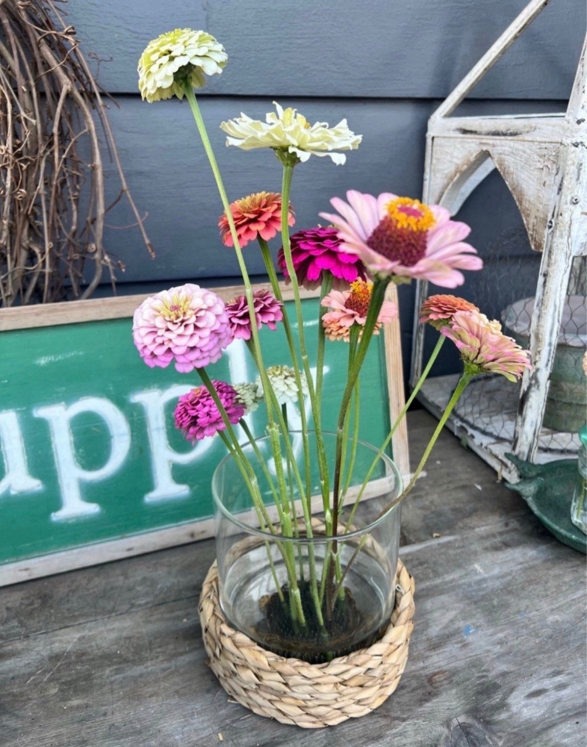 This little hurricane vase has me already thinking about zinnia season 🌸 I can’t wait to fill it with tall, colorful stems once the garden is in full swing again. For now I’m just picturing all the bright blooms it’s going to hold!


#LTKU #LTKSeasonal #LTKHome