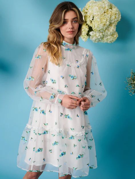 Dainty May Embroidered Mini Dress | Sister Jane (UK)