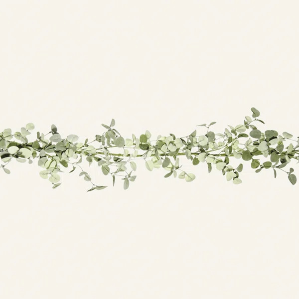 6' Eucalyptus Drop Garland | Wayfair North America