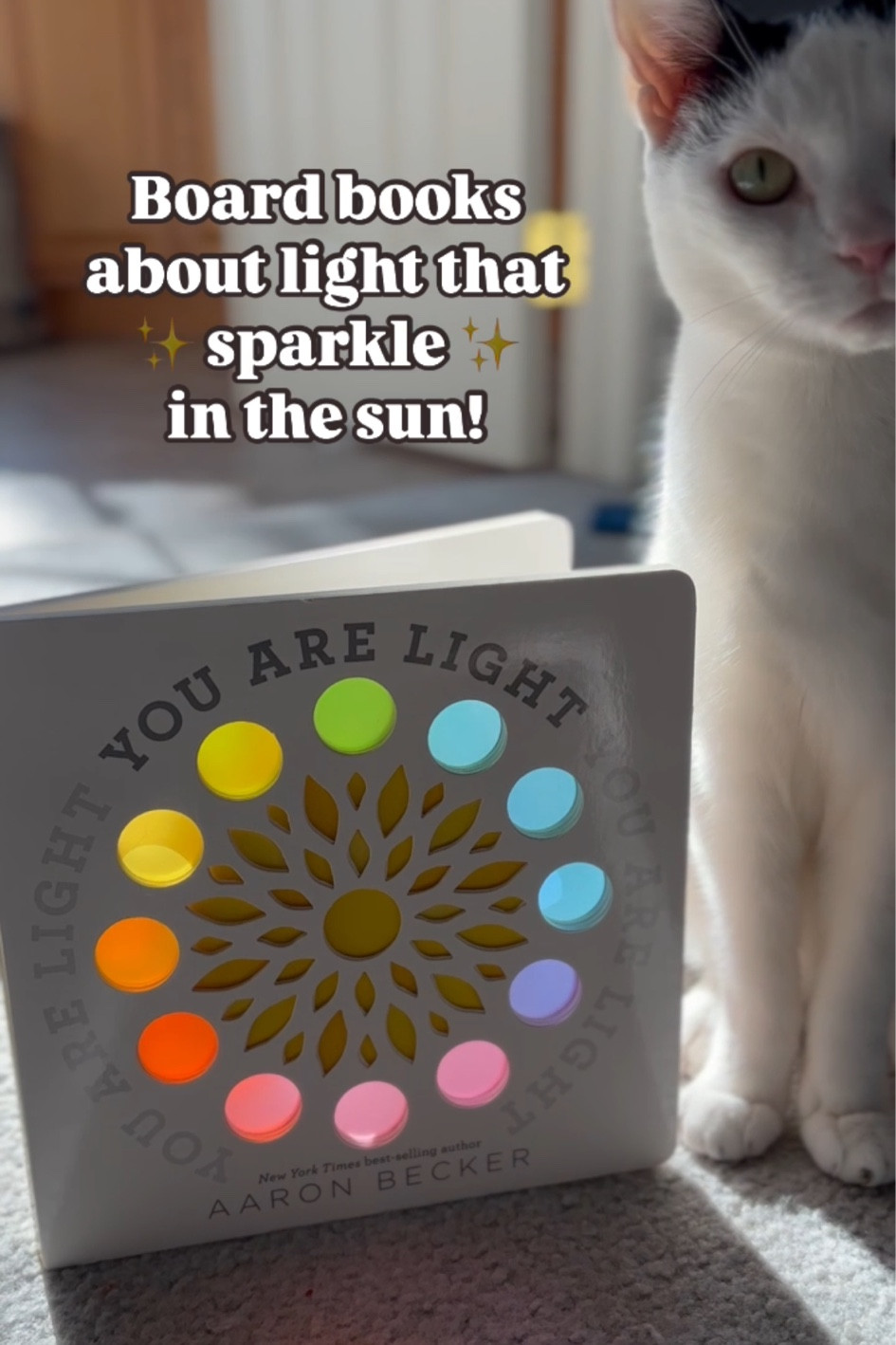 These are the most gorgeous board books I’ve ever seen! Perfect for teaching little ones about light and color ✨ 