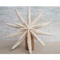 Starfish Tree Topper Natural, Gold or Silver Glitter  Rustic Coastal Nautical Beach Christmas Ornament Xmas Sanddollar Beach Tropical | Etsy (US)