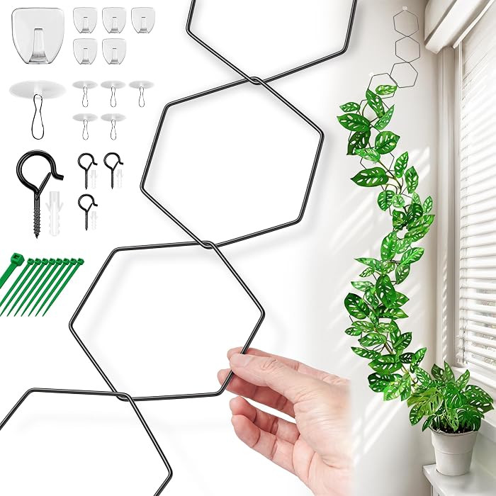 Chain Trellis for Climbing Plants - Indoor & Outdoor House Plant Accessories for Monstera, Pothos... | Amazon (US)