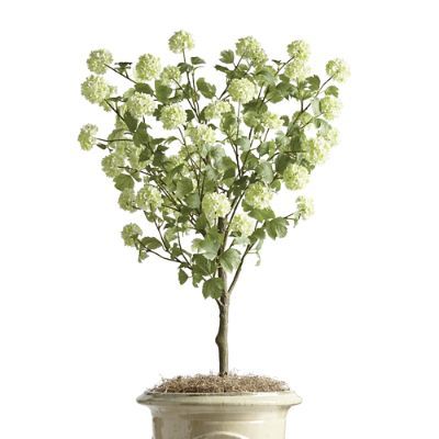 Add a bit of greenery to your space with this lifelike snowball hydrangea bush. Arrives in a blac... | Frontgate