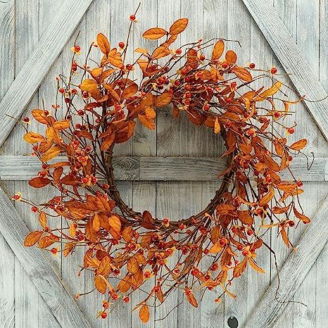 AMF0RESJ Artificial Fall Wreath for Front Door Autumn Door Wreath with Bitter Sweet Berry,Dry Vin... | Amazon (US)