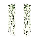 RoomMates RMK3903SCS String of Pearls Succulent Vine Peel and Stick Wall Decals | Amazon (US)