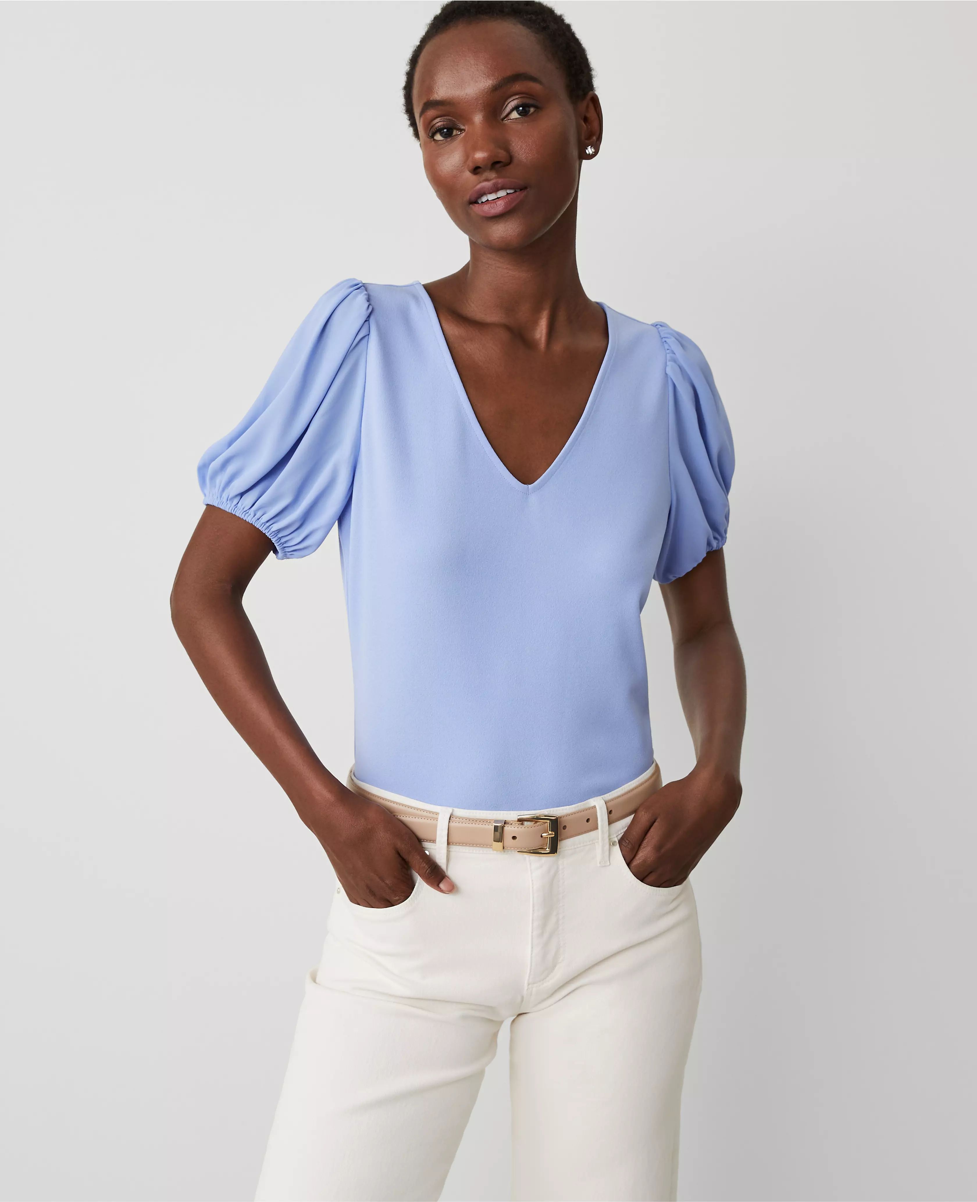 Puff Sleeve V-Neck Top | Ann Taylor (US)