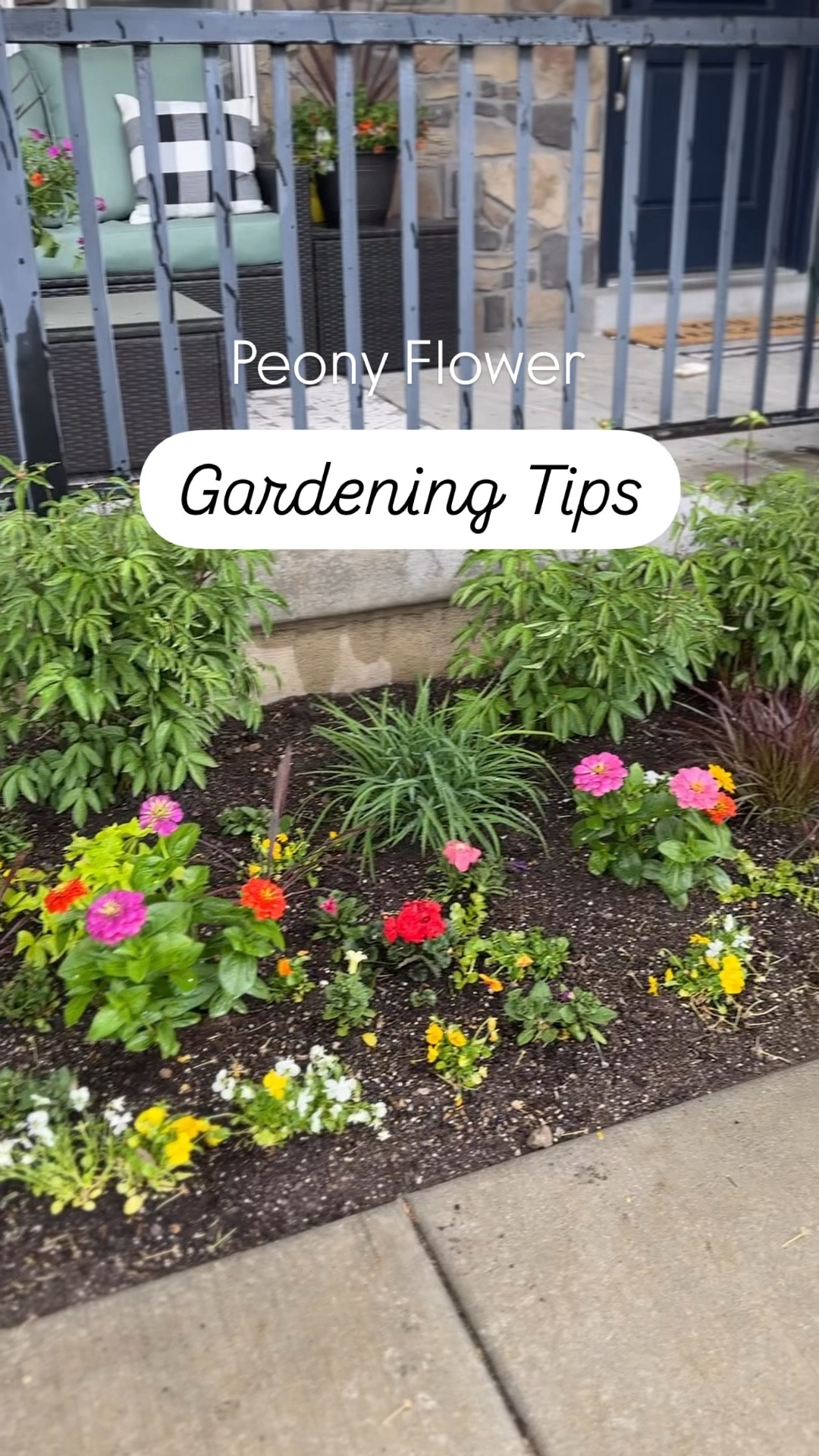 Peony Cages are on sale!!! 

#LTKHome #LTKSaleAlert #LTKSeasonal