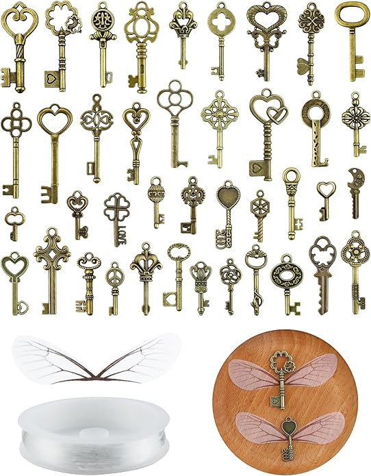 40 PCS Vintage Skeleton Keys Flying Keys Charms with 40 Pairs Dragonfly Wings and 30 Yards Elasti... | Amazon (US)