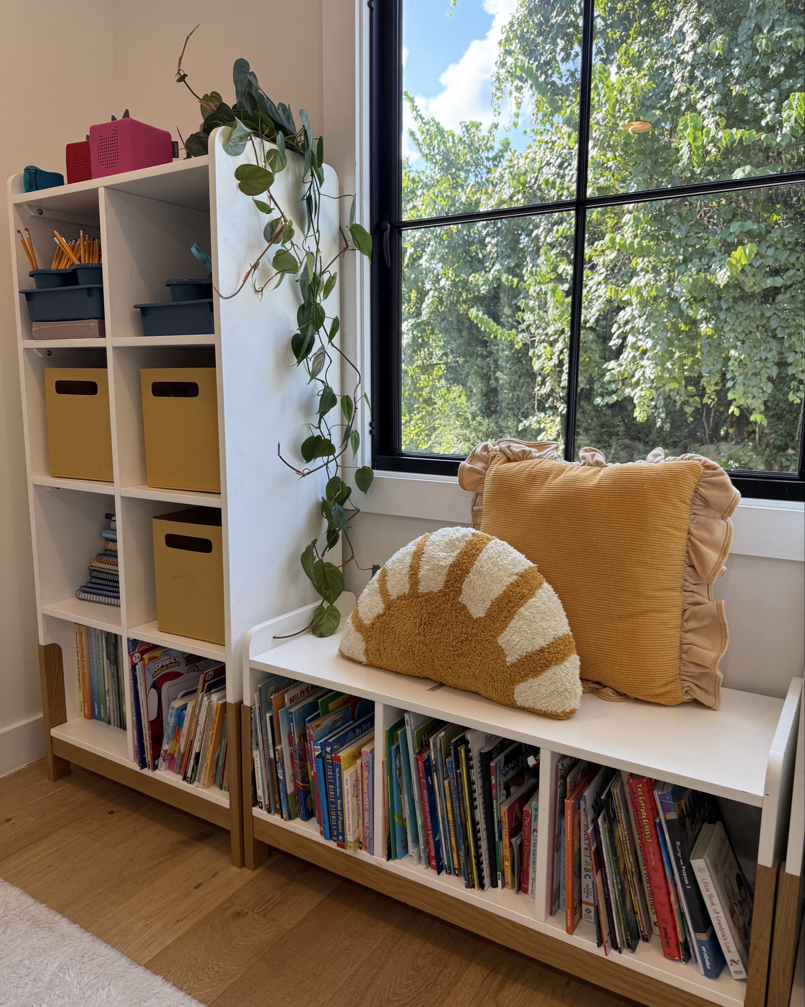 Classroom Organization✏️📚👏🏼 