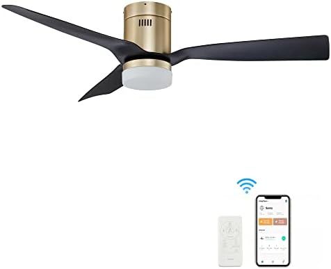 SMAAIR 52 Inch Smart Ceiling Fan with Lights, 10-speed DC Motor Ceiling Fan Works with Remote Con... | Amazon (US)