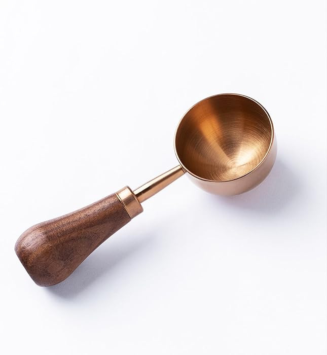 Retro Vintage Stainless Steel Coffee Scoop with Walnut Wood Handle, 10g Espresso Measure, 30ml Wa... | Amazon (US)
