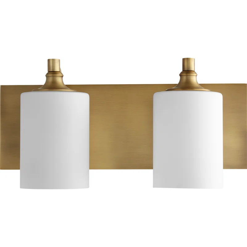 Dally 2-Light Vanity Light | Wayfair Professional