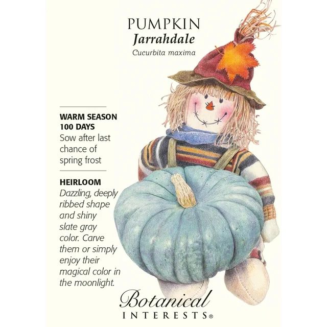 Jarrahdale Pumpkin Seeds - 3 grams - Heirloom | Walmart (US)