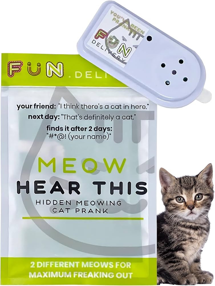 FUN delivery Hidden Cat Sound Prank Device – Pranks Device - Meow Noise Maker with Random Inter... | Amazon (US)