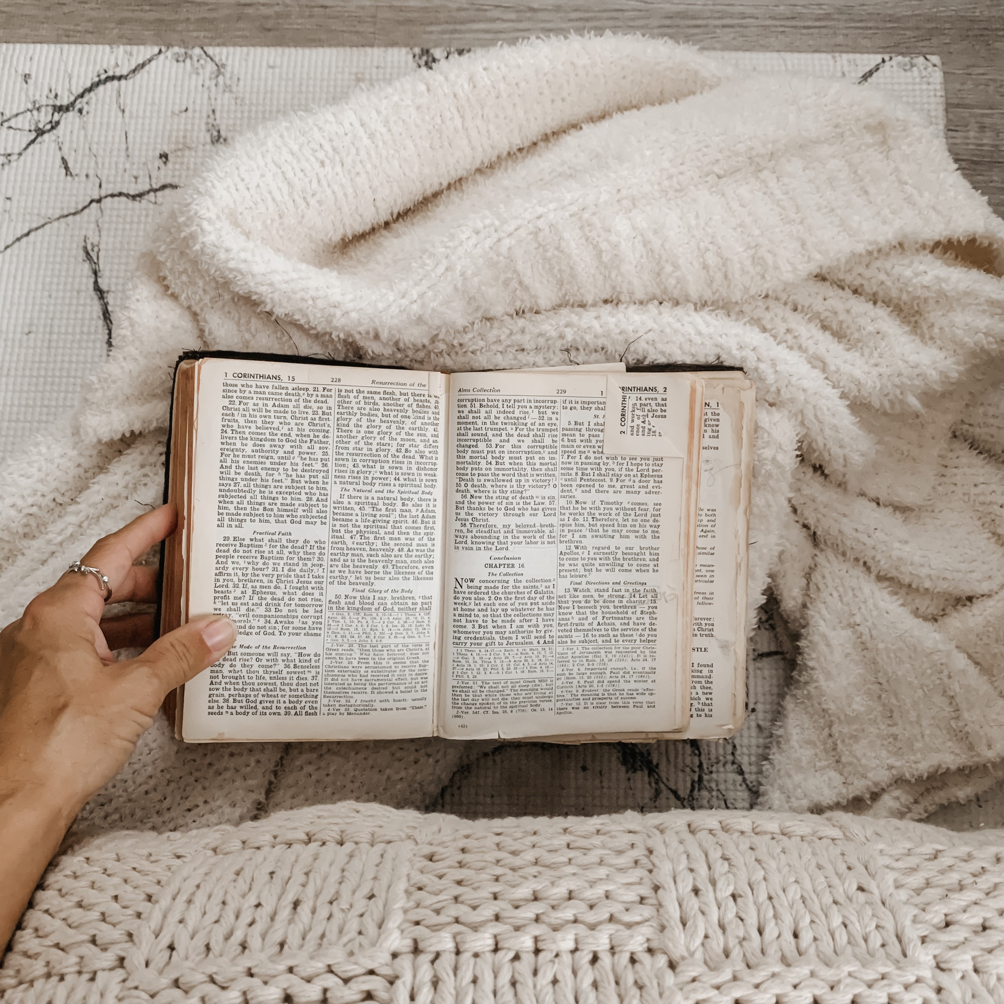 Scripture for the early morning 🌤️ 
Have a blessed Sunday! 


#LTKGiftGuide #LTKSeasonal #LTKhome