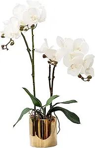 Artificial Orchid Flower Plant Real Touch Faux Orchids in Ceramic Vase White 19.7'' Fake Phalaeno... | Amazon (US)