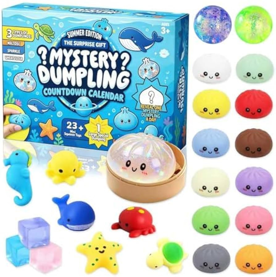 2026 Dumpling Squishy Advent Calendar, 24 PCS Dumpling Mystery Surprise Fidget Toys, Stress & Anx... | Amazon (US)