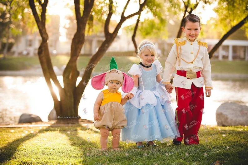 Cinderella Dress for Birthday Costume or Photo Shoot Cinderella Dress Outfit Birthday Dress Cinde... | Etsy (US)