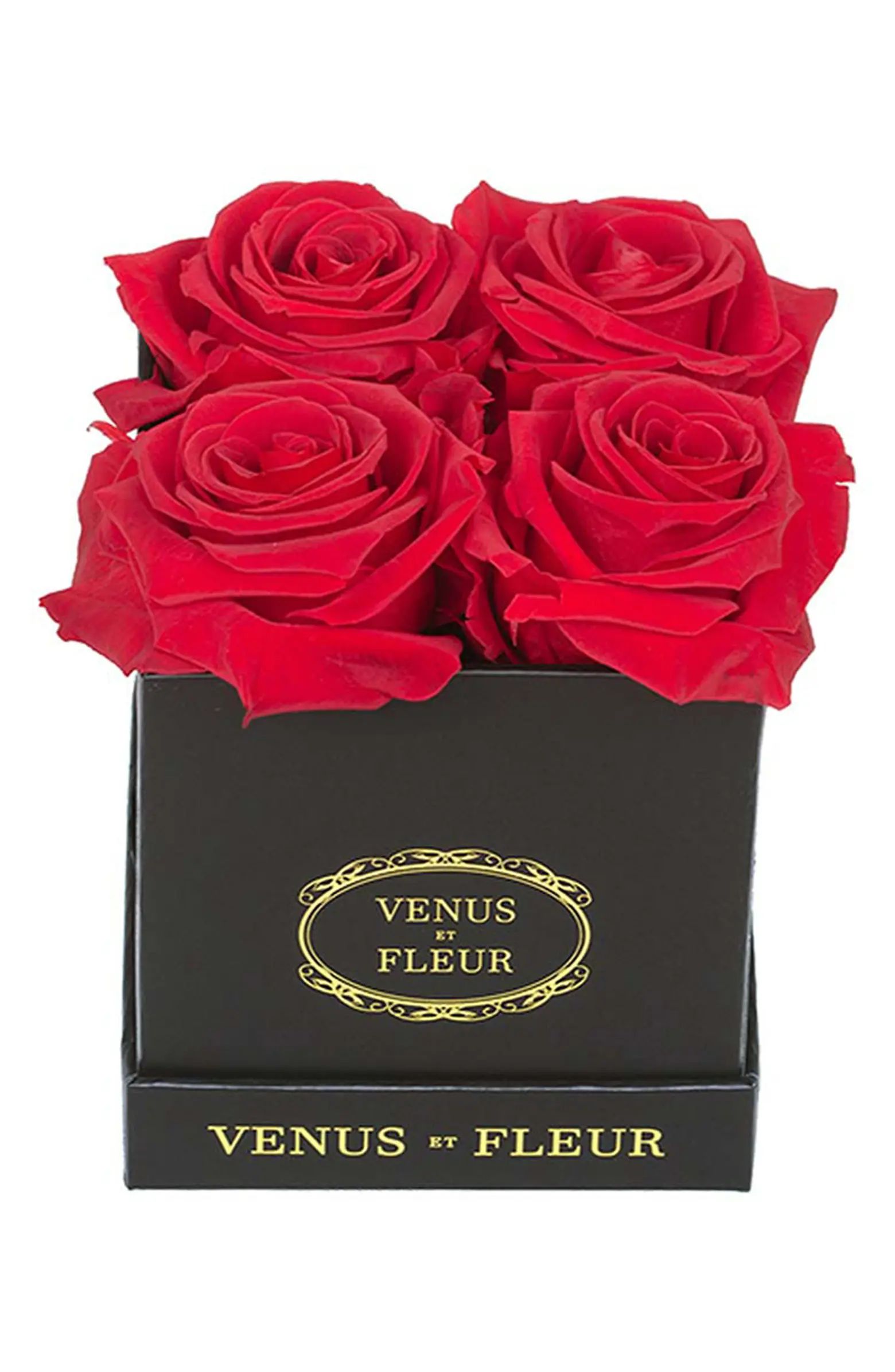 Venus ET Fleur Classic Le Petit Eternity Roses | Nordstrom | Nordstrom