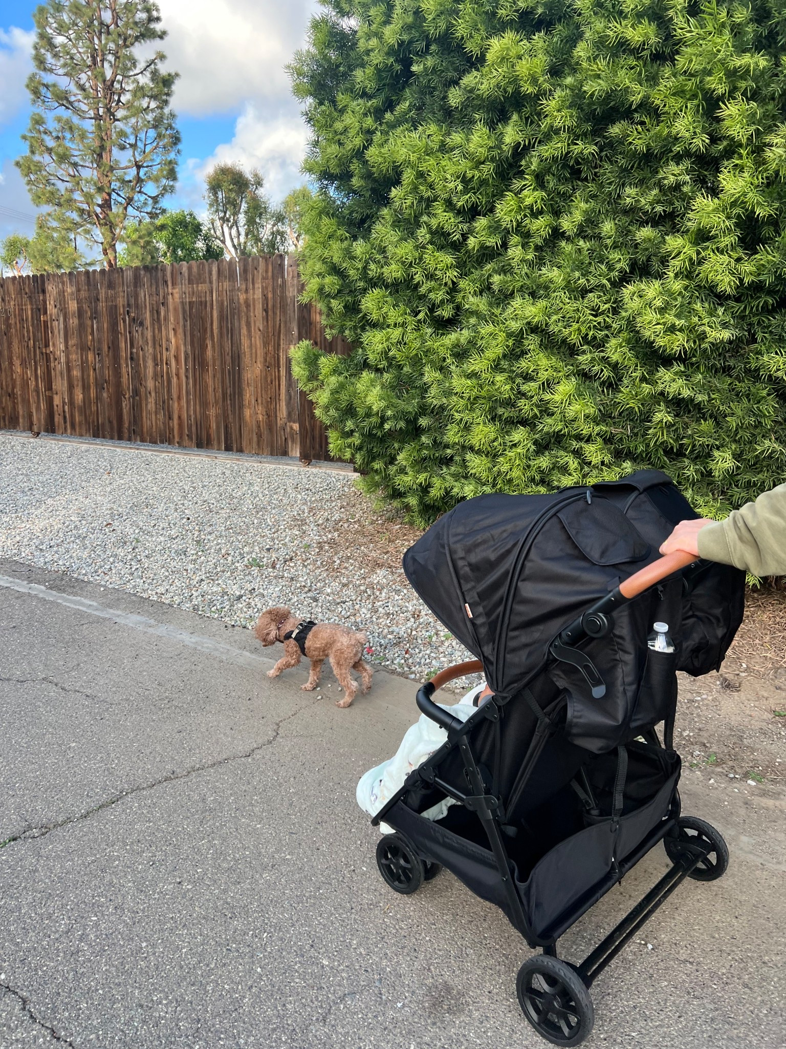 our recent double stroller purchase  that we’ve been really loving lately!! 

#LTKTravel #LTKFamily #LTKBaby