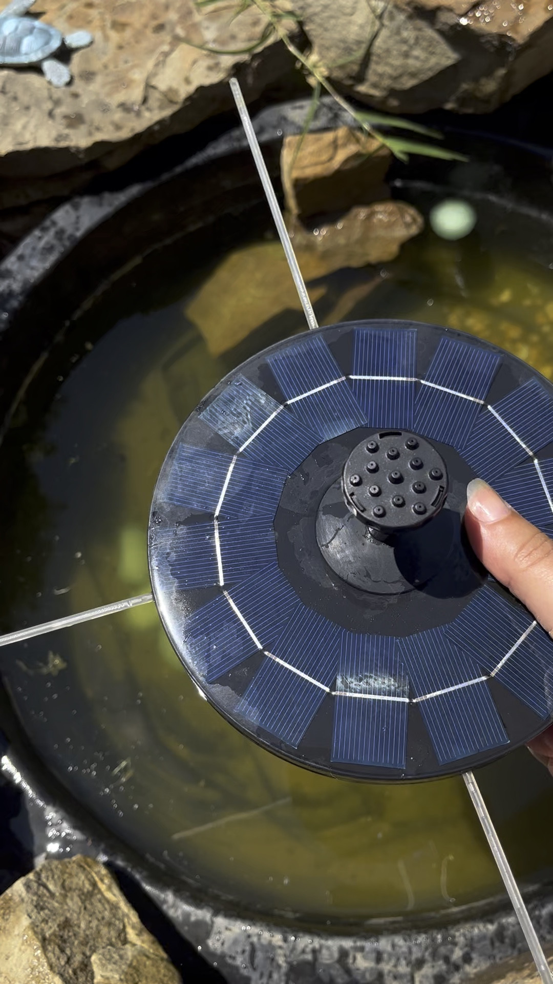 Transform your garden into a serene oasis with this Solar Powered Water Fountain! Perfect for bird baths or frog ponds, this eco-friendly fountain harnesses the power of the sun to bring soothing water sounds to your outdoor space. 

Customize your ambiance with interchangeable fountain filters, allowing you to switch up the sound and style of your fountain effortlessly. Whether you prefer a gentle trickle or a lively splash, these filters have you covered.

Easy to install and maintain, the solar-powered water fountain is not only a stunning addition to your garden but also a step towards sustainability. Elevate your outdoor experience and create a haven for wildlife with this versatile water fountain today!

#solarfountain 
#solarwaterfountain #waterfountain 

#LTKSeasonal #LTKSaleAlert #LTKHome