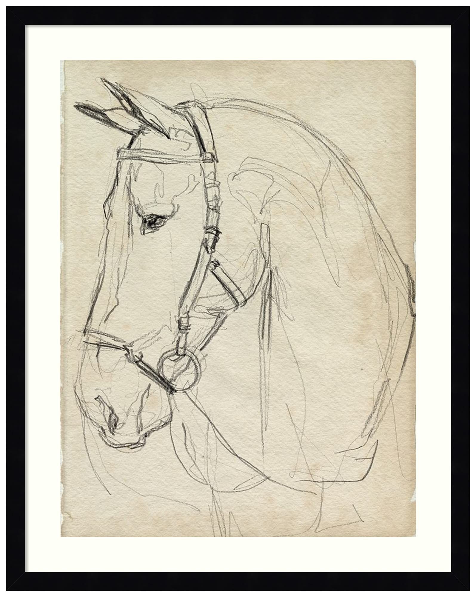 Amanti Art Horse in Bridle Sketch II by Jennifer Paxton Parker Wood Framed Wall Art Print (20 in. W  | Amazon (US)
