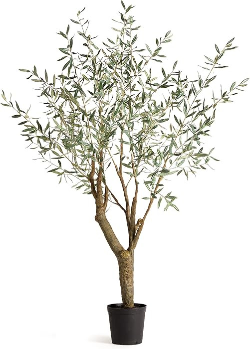 Napa Home & Garden, Grand Olive Tree Drop-in 6'6" | Amazon (US)