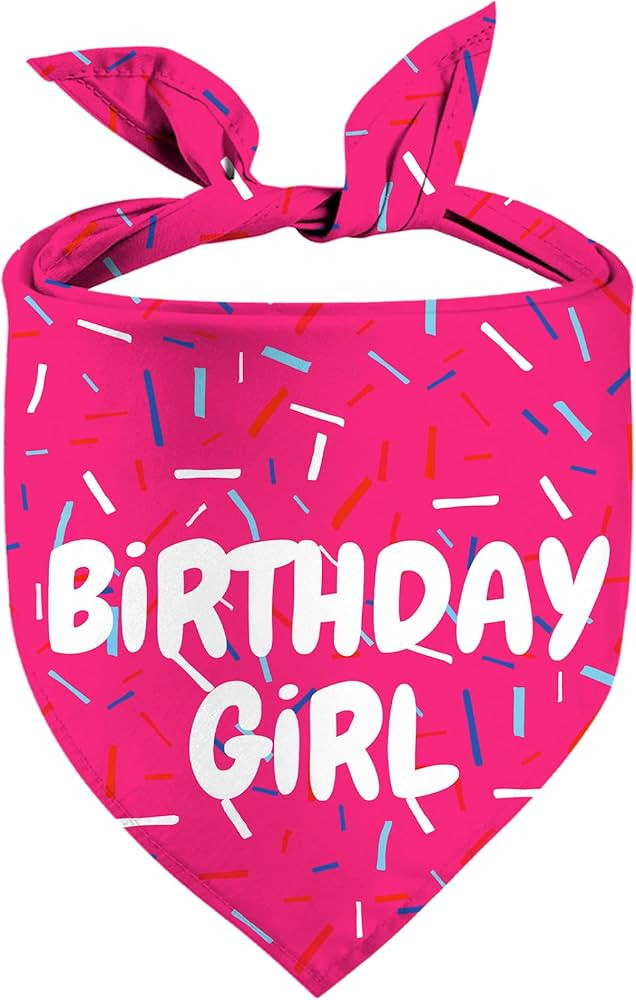 Birthday Girl Dog Bandanas 1 Pack, Pink Dog Scarfs for Puppy, Pet Scarves HBD Bandanas for Small ... | Amazon (US)