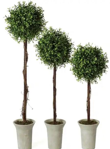 Beautiful topiaries, perfect as a centerpiece for any season! On sale! 

#LTKhome #LTKVideo #LTKsalealert