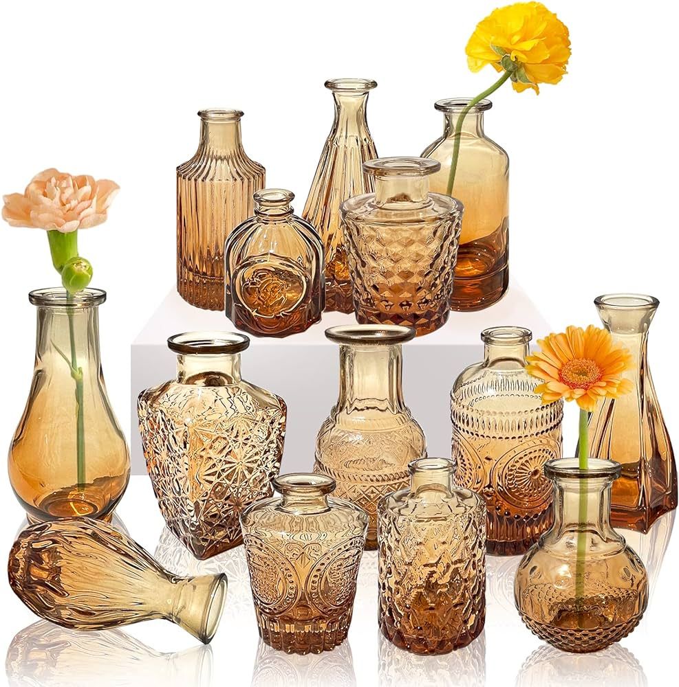 14 Pcs Amber Glass Bud Vase Set,Small Brown Vases,Mini Vintage Glass Flower Vases for Centerpiece... | Amazon (US)