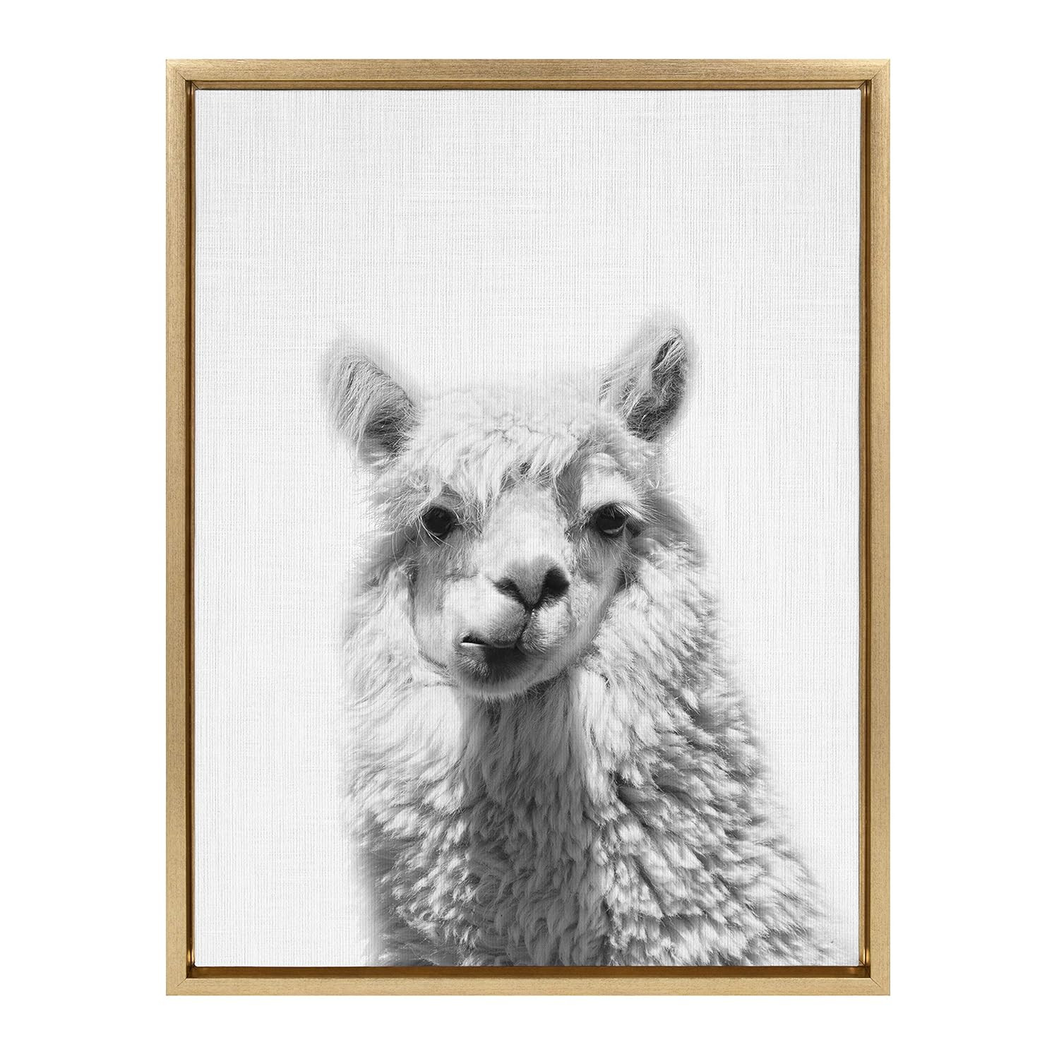 Kate and Laurel Sylvie Alpaca Portrait Framed Canvas Wall Art by Simon Te of Tai Prints, 18x24 Go... | Amazon (US)