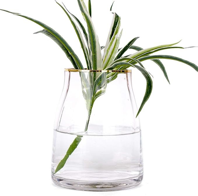 VanEnjoy 7 inch Clear Simple Glass Flower Vase, Decorative Gilded Rim Vase Home Decor for Indoor ... | Amazon (US)