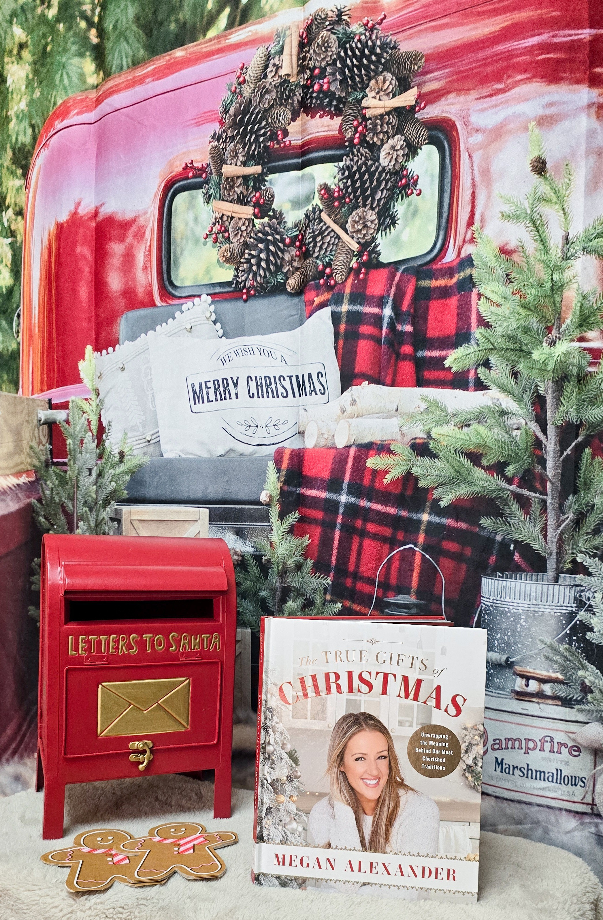 The True Gifts of Christmas ✨A heartwarming story that reminds us the best gifts of the season aren’t found under the tree — they’re the moments of love, joy, and faith we share. 💫Beautifully written and illustrated, this book makes a meaningful addition to any holiday collection. 🎄

#LTKGiftGuide #LTKHoliday #LTKSeasonal