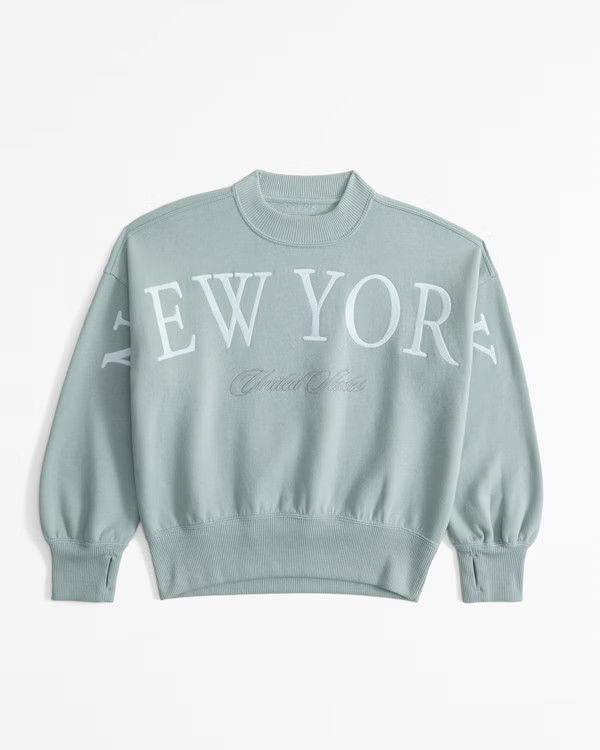 destination crew sweatshirt | Abercrombie & Fitch (US)