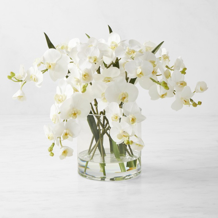 Faux White Orchid Phalaenopsis in Glass Vase | Williams-Sonoma