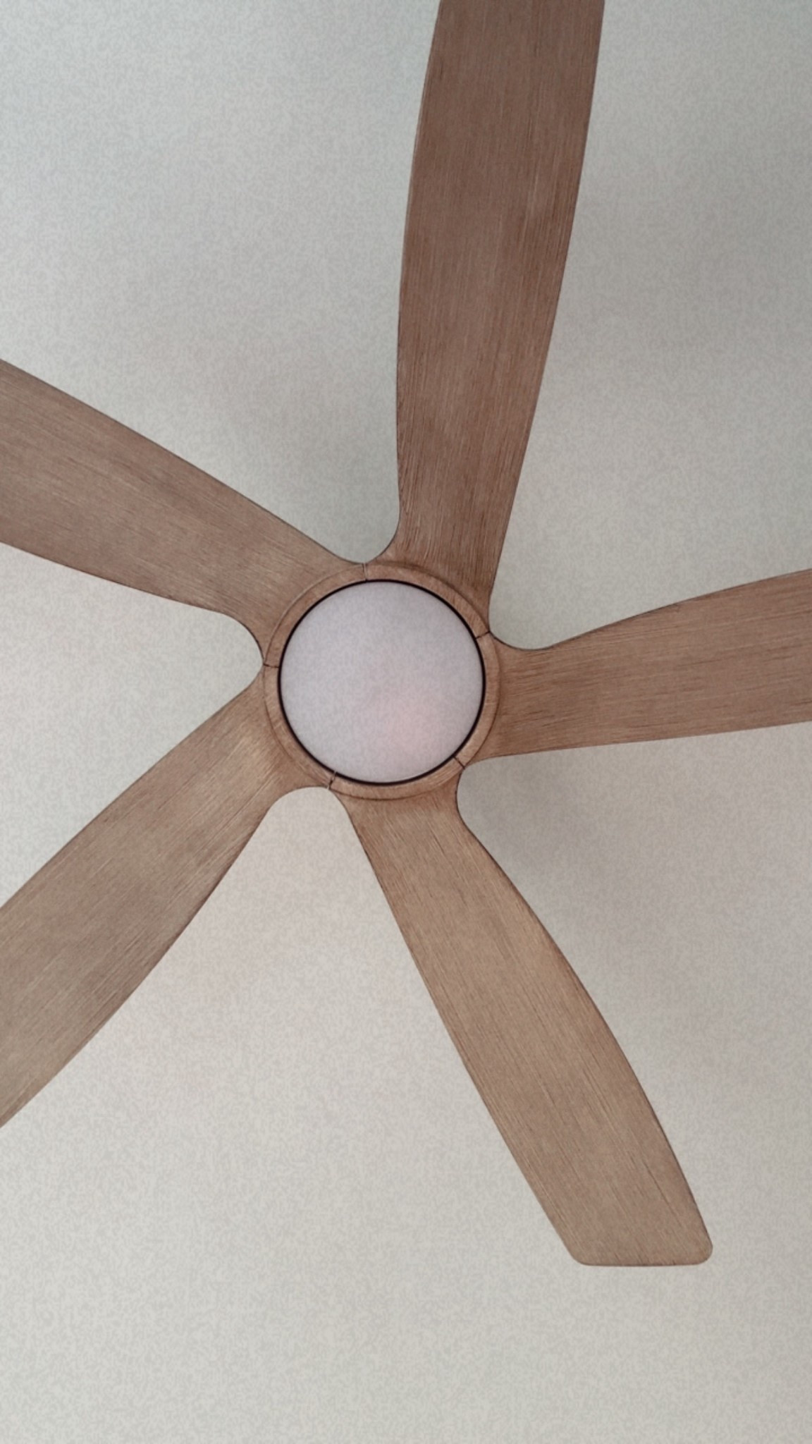 The most perfect light + fan combo for your bedroom the color is heaven 

#LTKdayinmylife #LTKHome