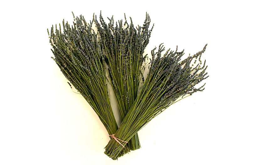 Lavender Bunches, Dried | One Kings Lane