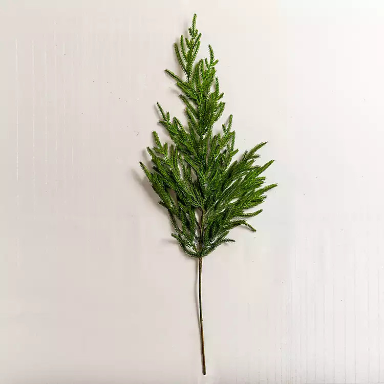 Real-Touch Norfolk Pine Stem | Kirkland's Home