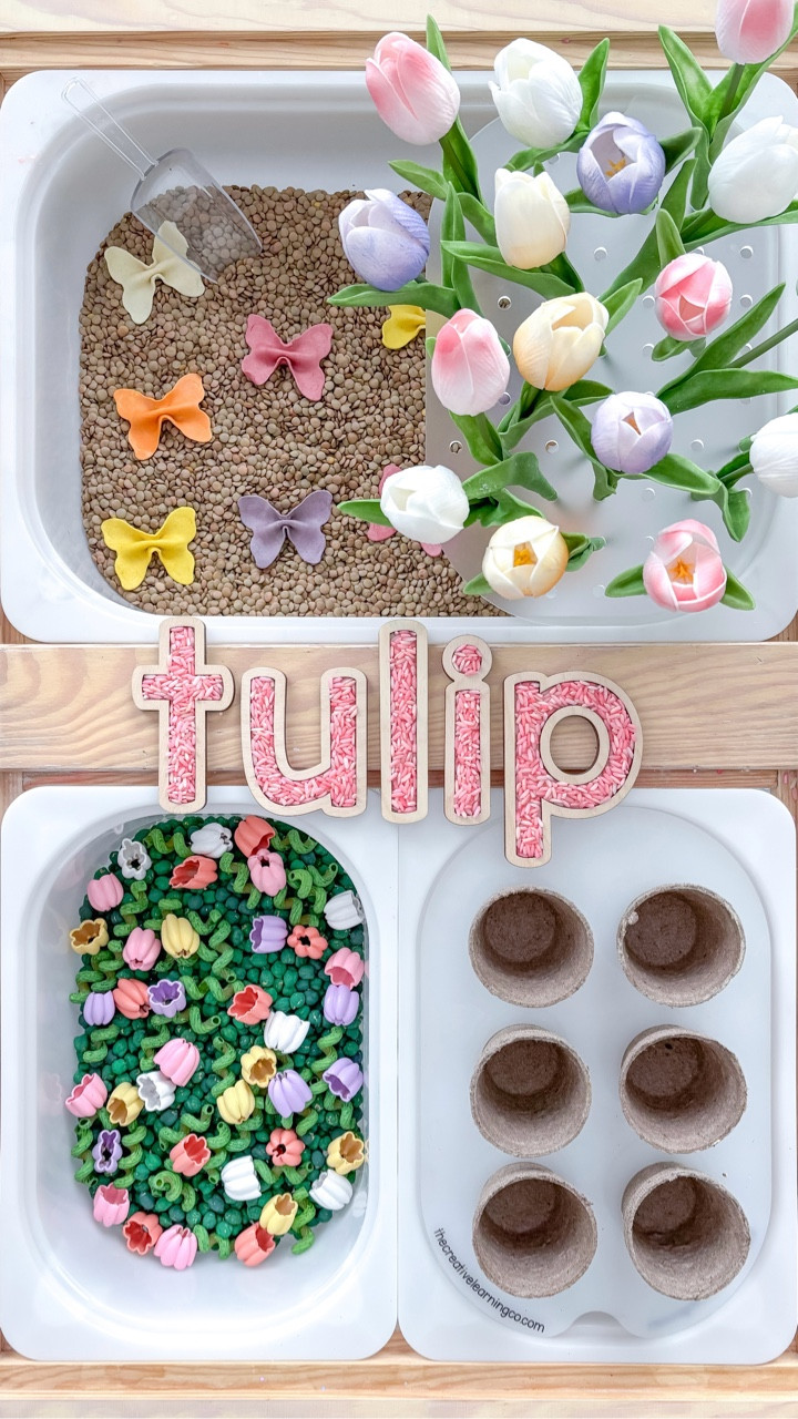 🌷 Tulip Sensory Play! 🌷
A couple things to note about this setup:
- the bin inserts are sadly from a small shop that closed recently ☹️ but I’ve linked some similar options! 
- I found the mini seed starting pots  at the Dollar Tree ￼￼

#LTKKids