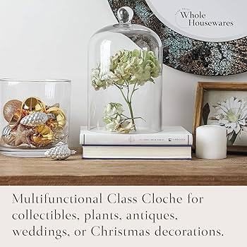 WHOLE HOUSEWARES | Clear Glass Bell Jar | DIY Snow Globes | Decorative Cloche Jar for Home Decor ... | Amazon (US)